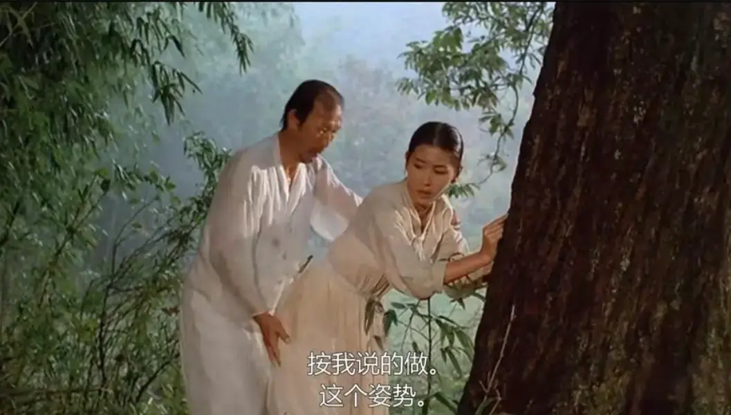 《桑叶》相关资源图片