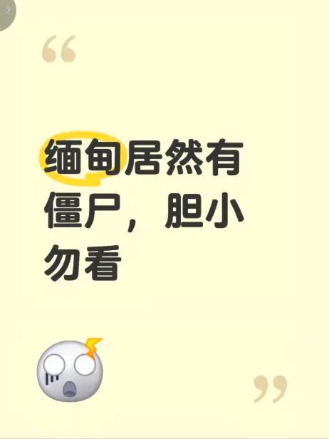 《缅甸僵尸出土事件》高清完整版在线免费播放 - 揭秘缅北神秘事件真相 - 缅甸僵尸出土事件现场全程录像无删减