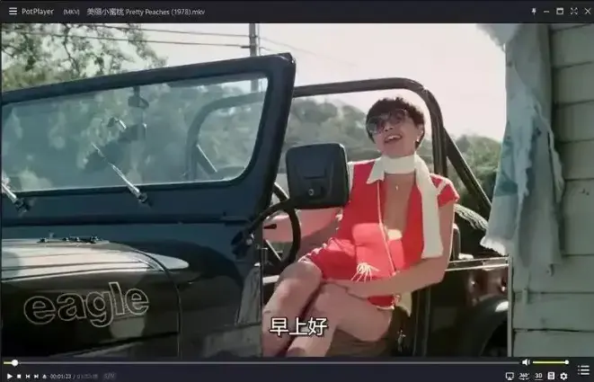 《美丽小蜜桃》1978年电影高清中字免费播放-美国复古喜剧在线观看免费-《美丽小蜜桃》1080P中字流畅播放