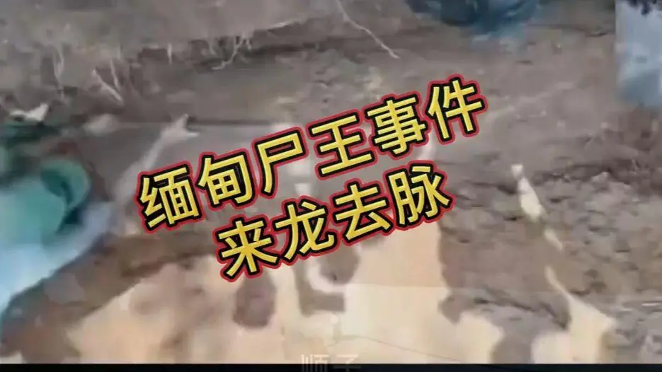 《缅甸僵尸出土事件视频》完整版资源在线观看免费播放 - 诡异真相解密高清下载 缅北僵尸出土事件始末原视频超清未删减全程录像